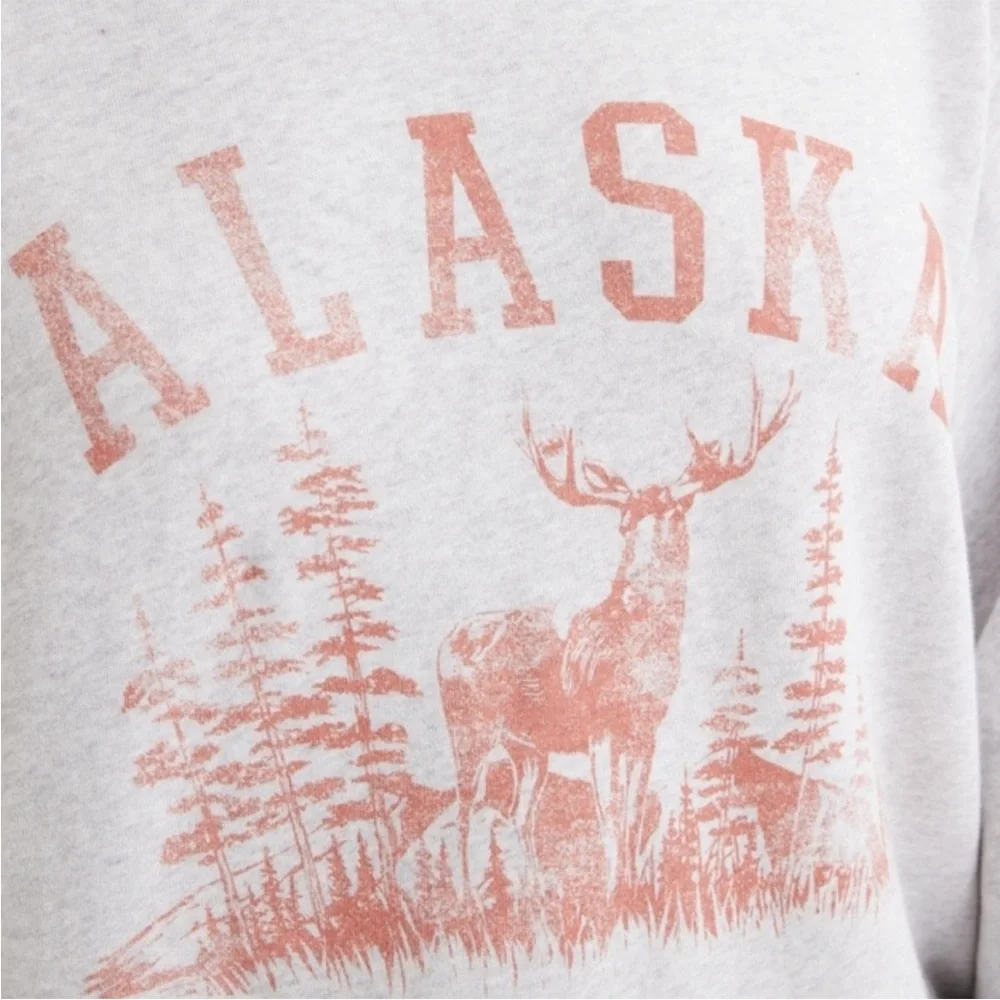Aerie Alaska grey oversized crew neck sweatshirt - Picture 4 of 8
